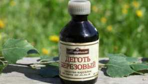 Бреза бришење од колорадо beetle опис на методот, ефикасност, правила за обработка